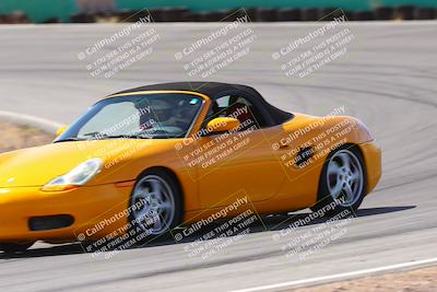 media/Oct-25-2025-West Coast Racing (Sat) [[9fdcbcd09c]]/Novice group/Turn 3/